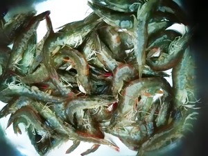 白灼海青虾