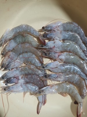 葱香开背虾（青虾）