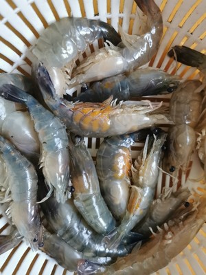 和饭店一个味的椒盐大头虾(沼虾)