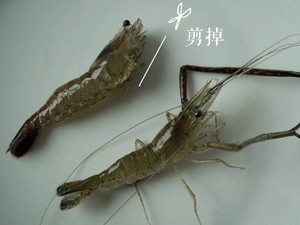 完爆各大餐馆的油爆小河虾