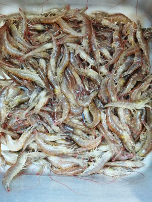 烤虾干追剧减肥小零食必备