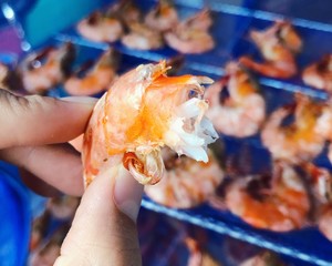 全身都裹满太阳的虾干