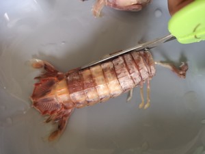 不伤手完整剥皮皮虾