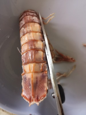 不伤手完整剥皮皮虾