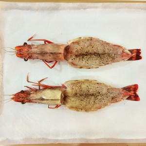 芝士焗大虾?巨型黑虎虾|年夜饭|宴客菜