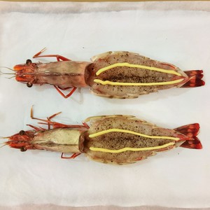 芝士焗大虾?巨型黑虎虾|年夜饭|宴客菜