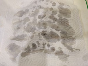 油焖大虾（黑虎虾）