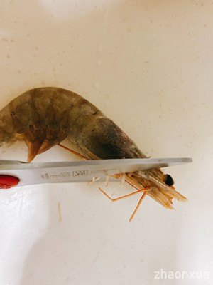 家庭版油焖大虾