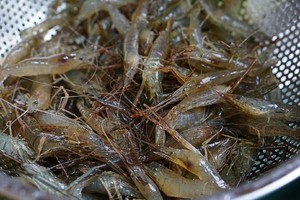 家常徽菜：青椒炒小河虾