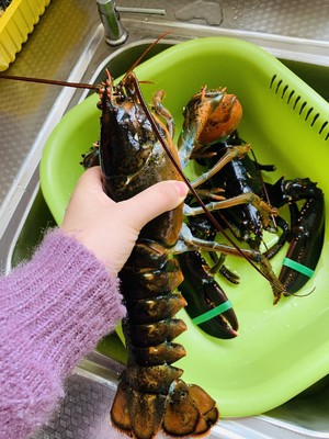 美味无敌的清蒸波士顿龙虾
