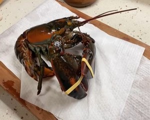 龙虾处理（详细视频）