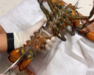 龙虾处理（详细视频）