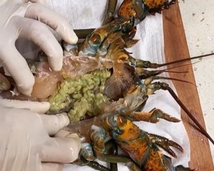 龙虾处理（详细视频）