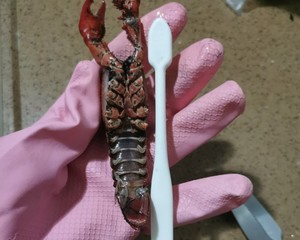 小龙虾处理方法