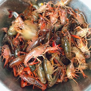 私房川味麻辣小龙虾?好吃到暴跳