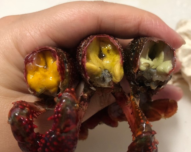 【彻底清洗清理小龙虾】简单又干净