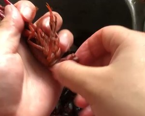【彻底清洗清理小龙虾】简单又干净