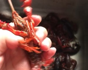 【彻底清洗清理小龙虾】简单又干净