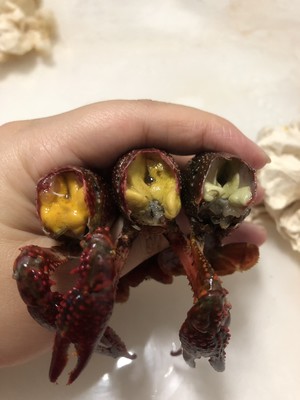 【彻底清洗清理小龙虾】简单又干净