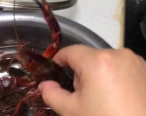 【彻底清洗清理小龙虾】简单又干净