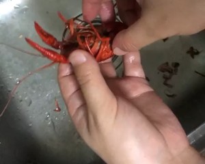【彻底清洗清理小龙虾】简单又干净