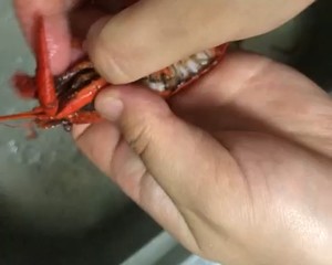 【彻底清洗清理小龙虾】简单又干净