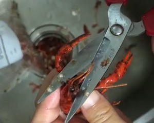 【彻底清洗清理小龙虾】简单又干净