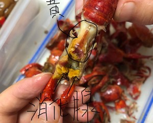 【彻底清洗清理小龙虾】简单又干净