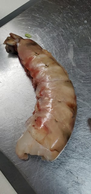 椒盐大对虾