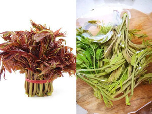 香椿虾皮炒鸡蛋