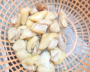 爆炒鲨鱼肚