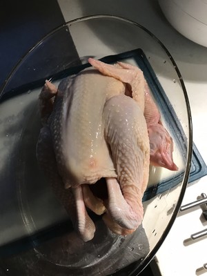 金汤花胶炖鸡煲