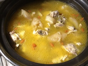 金汤花胶炖鸡煲