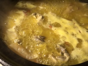 金汤花胶炖鸡煲