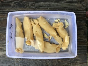花胶泡发（新手学得会）