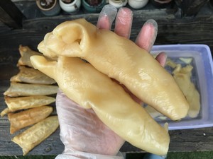 花胶泡发（新手学得会）