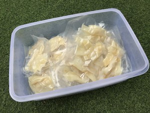 花胶泡发（新手学得会）