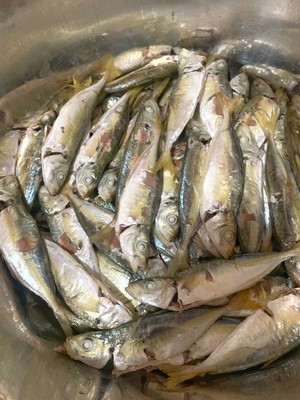 自晒巴浪鱼干