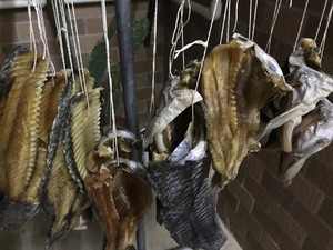 鱼干