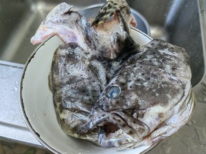 石斑鱼头豆腐汤