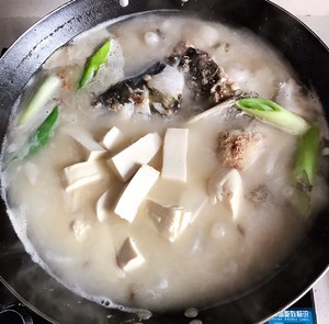 奶白鱼头汤（鲜）