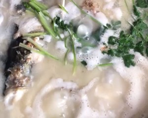 奶白鱼头汤（鲜）