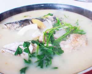 奶白鱼头汤（鲜）