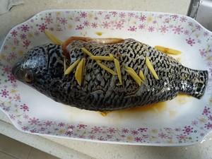 清蒸淡水石斑鱼