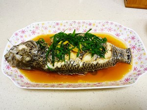 清蒸淡水石斑鱼