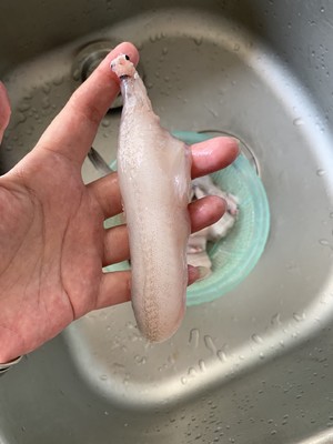 红烧水鱼