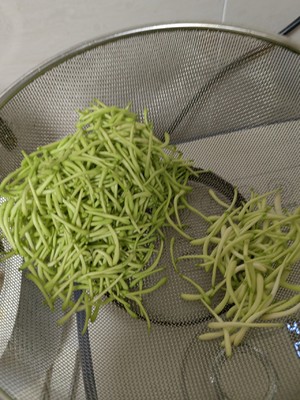 金银花茶（干果机）