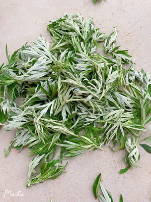 宝宝治疗蚊虫叮咬神器 艾草薄荷金银花膏