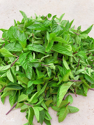 宝宝治疗蚊虫叮咬神器 艾草薄荷金银花膏