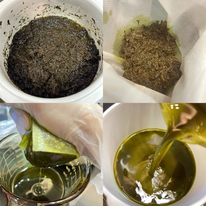 自制金银花艾草薄荷膏【超详细教程】